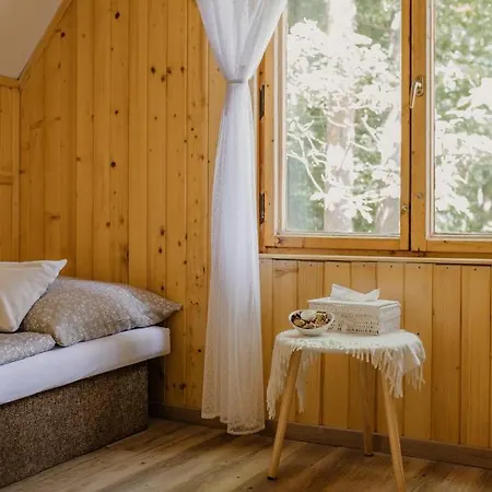 Mineral Lodge