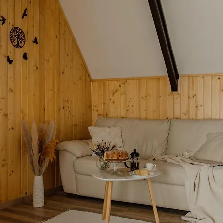 Lodge Mineral Kovacova