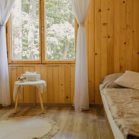 Mineral Lodge *