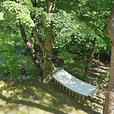 Lodge Mineral Kovacova